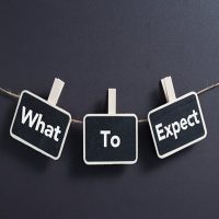 What_To_Expect2 What_To_Expect2